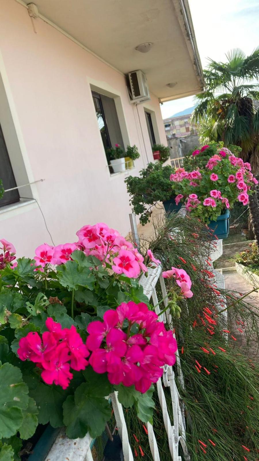 Blissful Hostel Shkodër Екстериор снимка