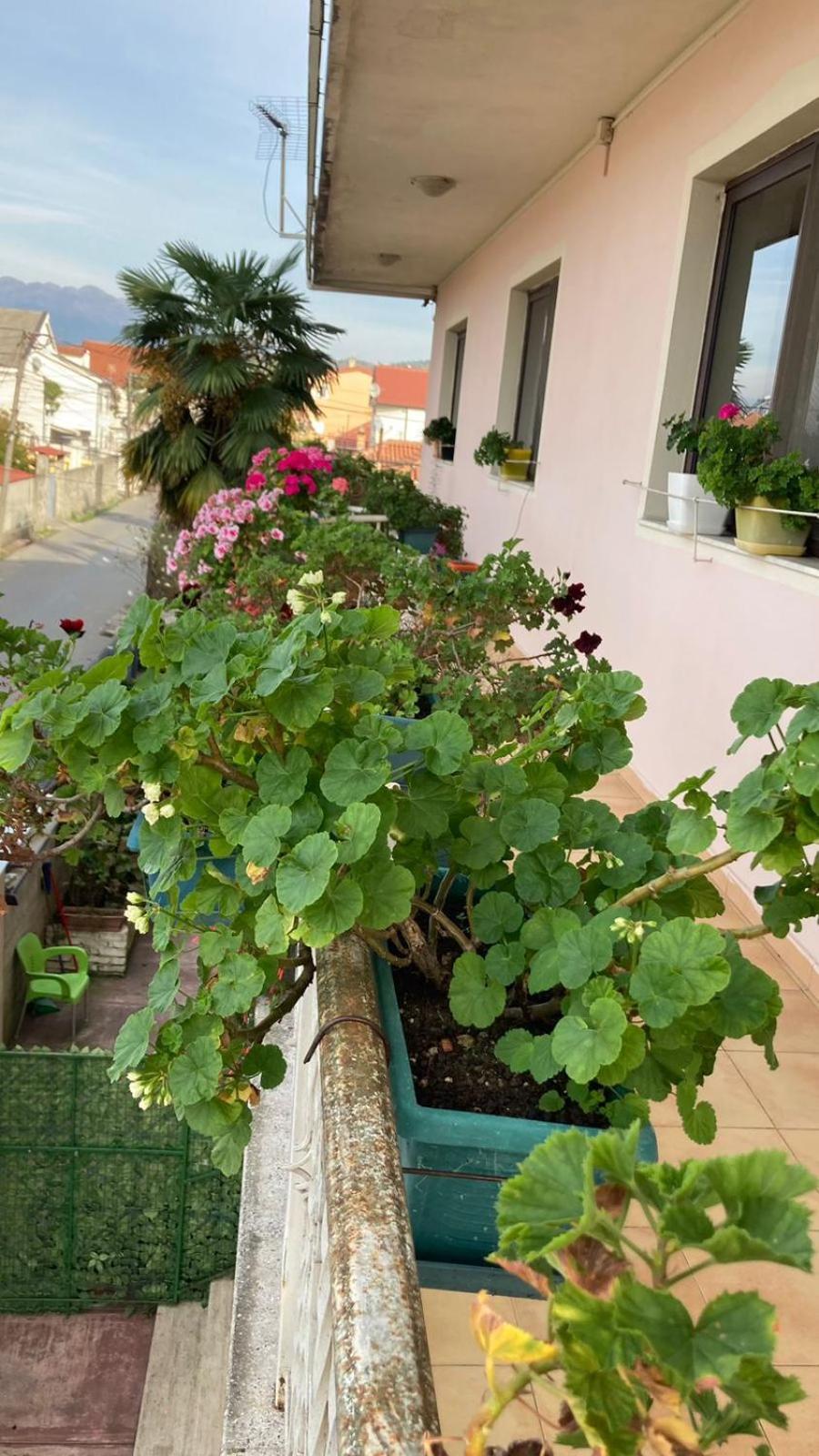 Blissful Hostel Shkodër Екстериор снимка