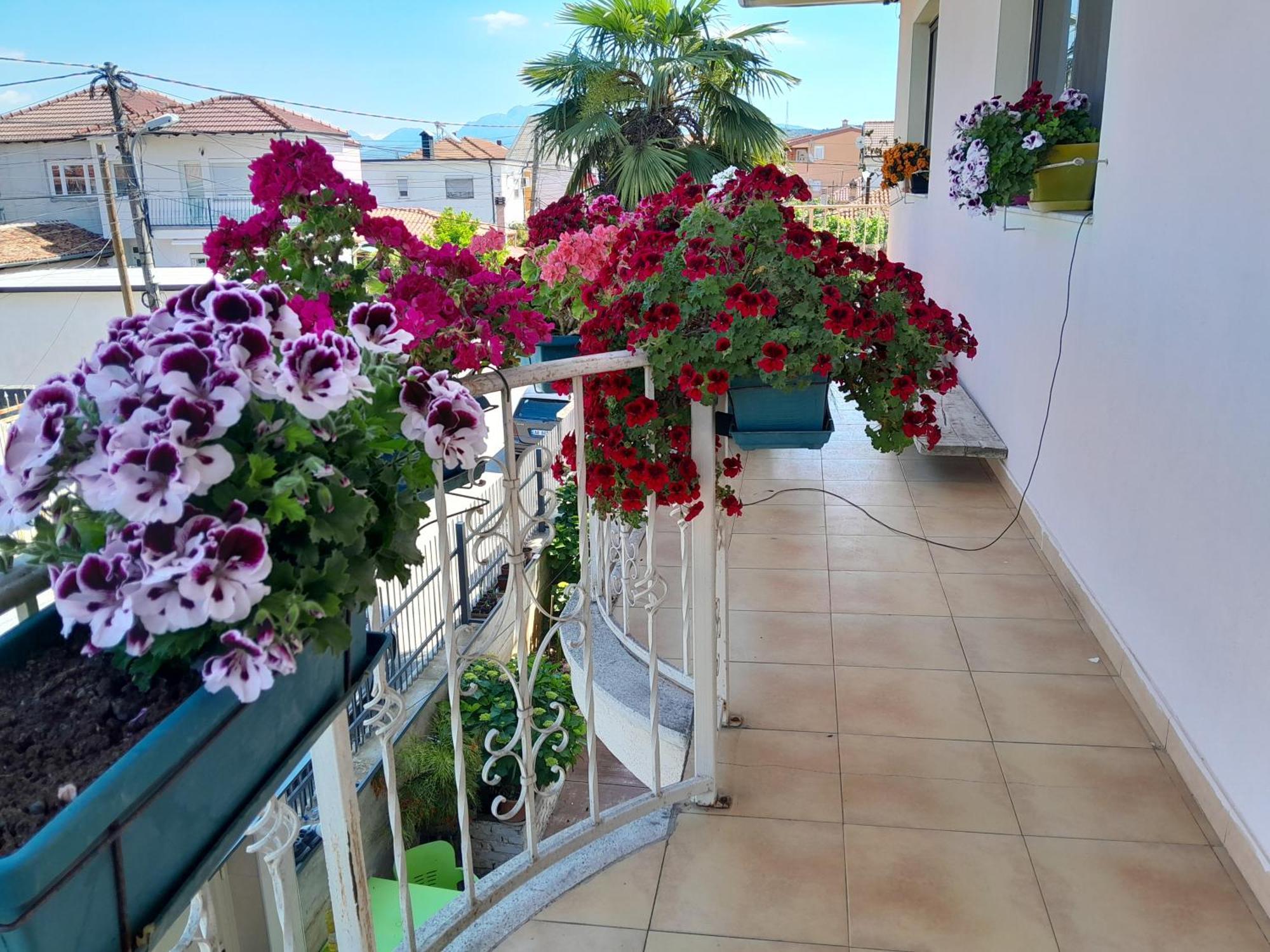 Blissful Hostel Shkodër Екстериор снимка